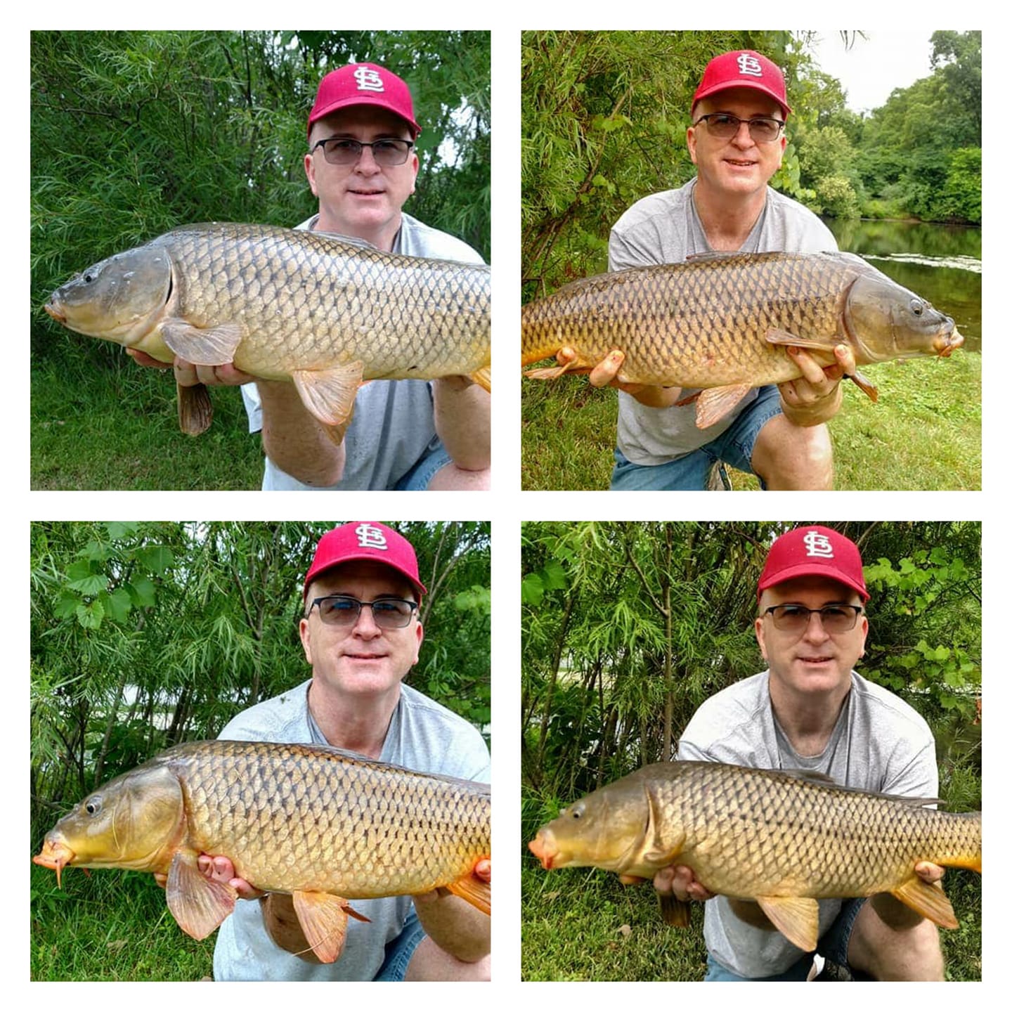 Michigan Carp Fishing Blog Huron River