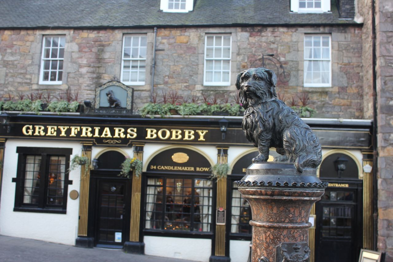 Green Gourmet Giraffe Edinburgh pub The Last Drop