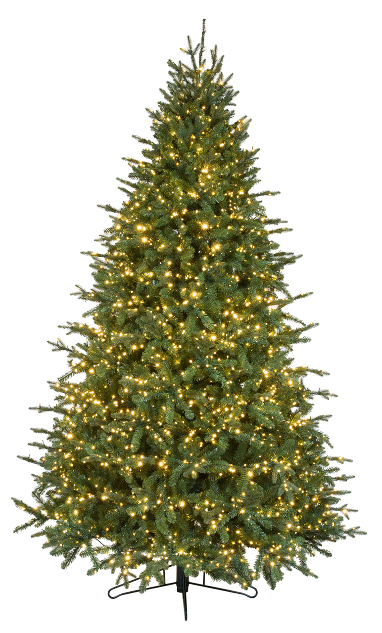 Trees n Trends Trees n Trends INDOOR Christmas Tree Farm