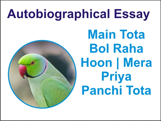 तोता हिंदी निबंध | मेरा प्रिय पंछी तोता निबंध | में पंछी तोता बोल रहा हु |  MyselfEssay