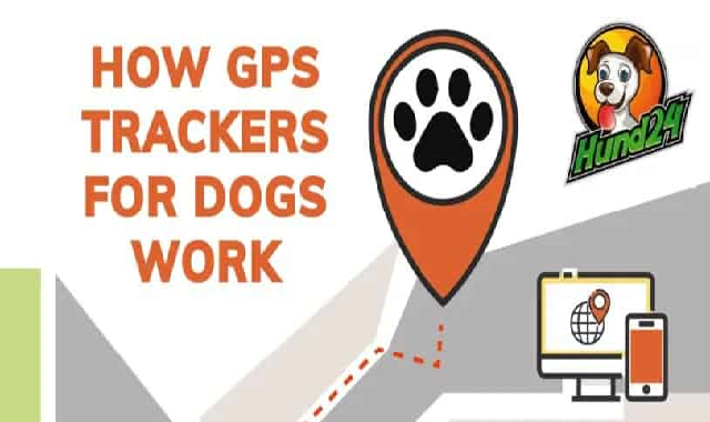 How GPS Trackers for Dogs Work #infographic