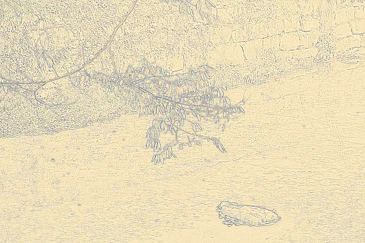 공주 태화산 마곡사