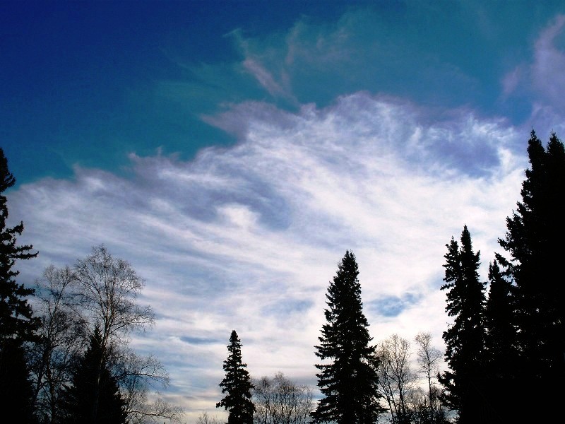 Bow Narrows Camp Blog on Red Lake Ontario Mares tails and mackerel