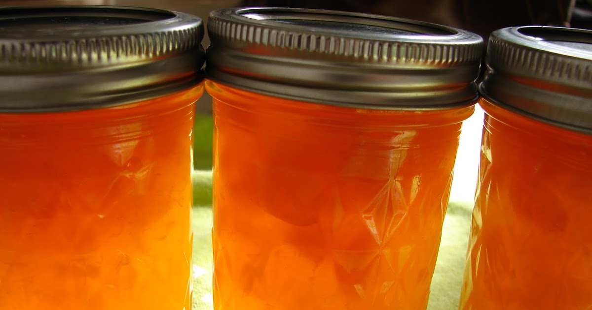 New Utah Gardener Summer Apricots Abundant In Utah!