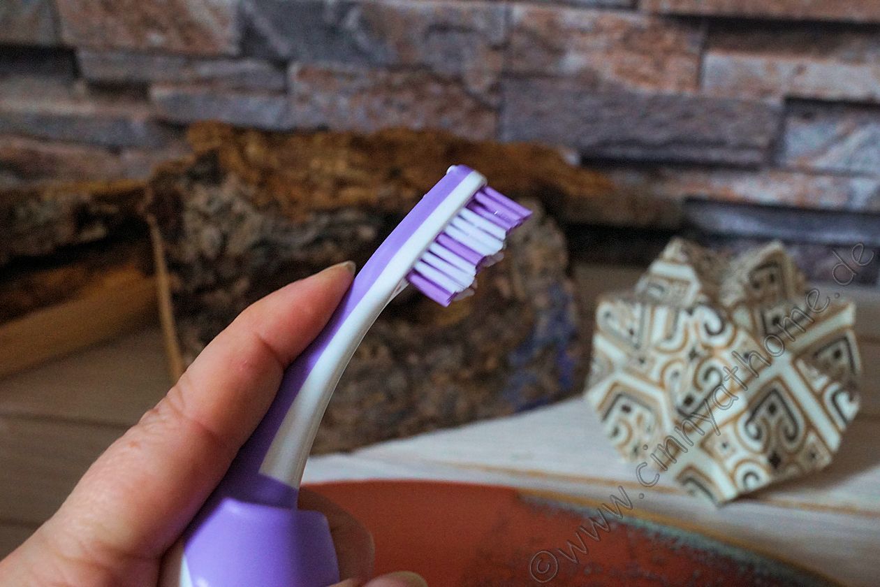 Toothbrush On Fur Pie