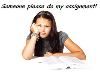 a lesson essay grade tok