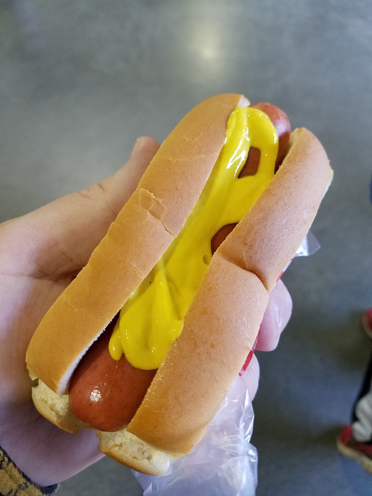 Hot Dogs of Maine Baseball and Hot Dogs Fenway Frank