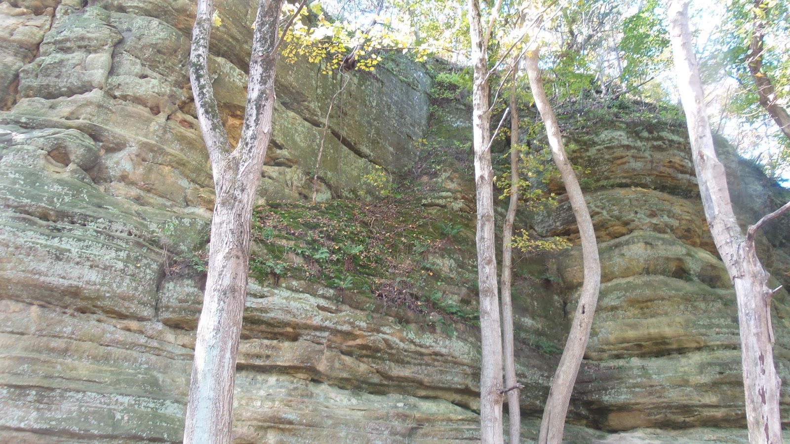 Hike Starved Rock Council Overhang, Ottawa Canyon. Fall Colors tour 10