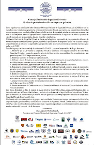 Informe CNSP 2010 - 2011