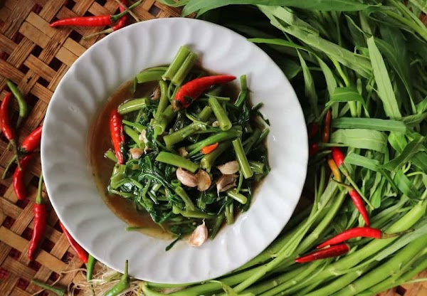 Benefits of Kale for bodily health Benefits of Kale for bodily health