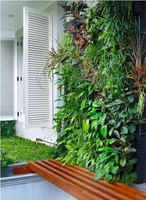 Tukang taman Suarabaya Gambar Vertical Garden (Living Wall, Green Wall/Taman Vega) Teks alternatif