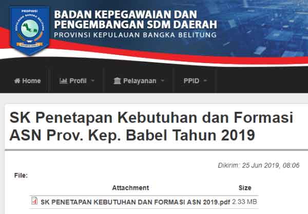 Usulan Kebutuhan Dan Formasi Asn Provinsi Bangka Belitung