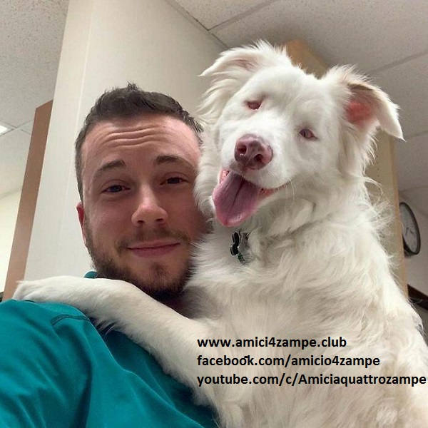Video vi farà sorridere per il resto della giornata, questo giovane sveglia la sua cagnolina mezza cieca e sorda con gentilezza.