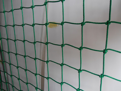 ตาข่ายคลุมสินค้า Cargo Net