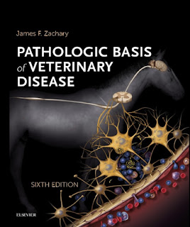 Pathologic Basis of Veterinary Disease 6th Edition Pathologic Basis of Veterinary Disease 6th Edition