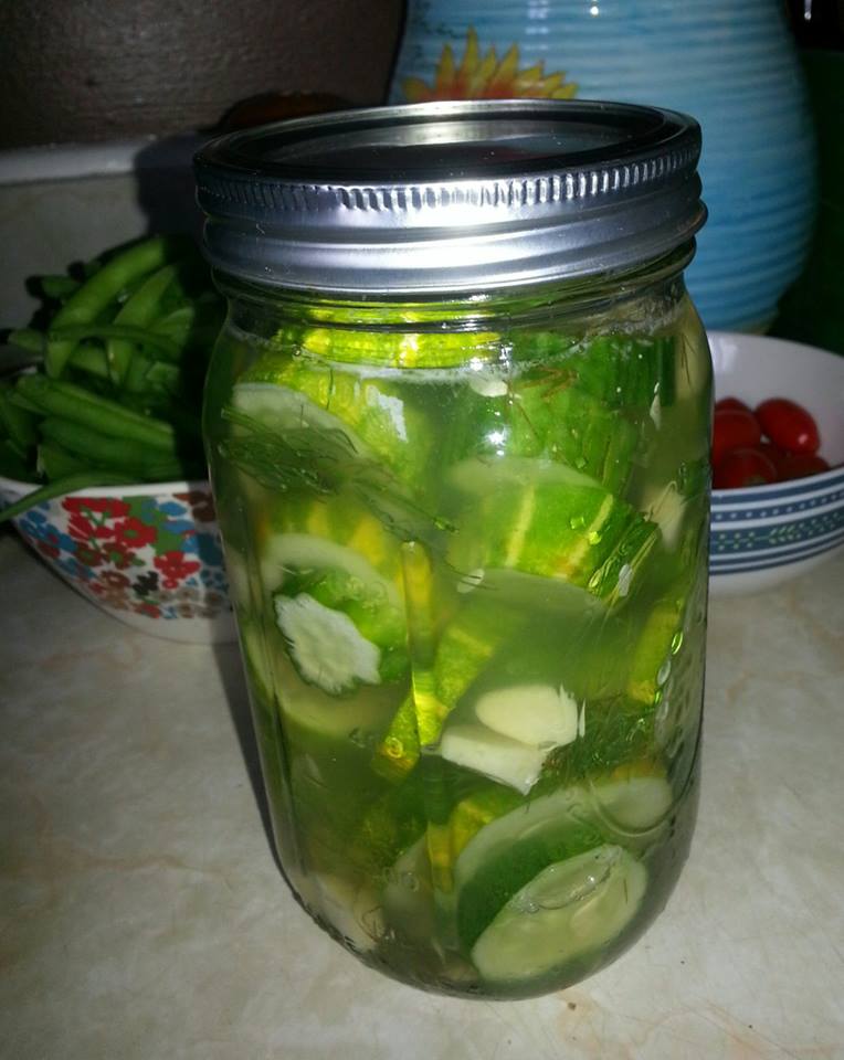 The Land of Peapodriot Naturally Fermented Dill Pickles