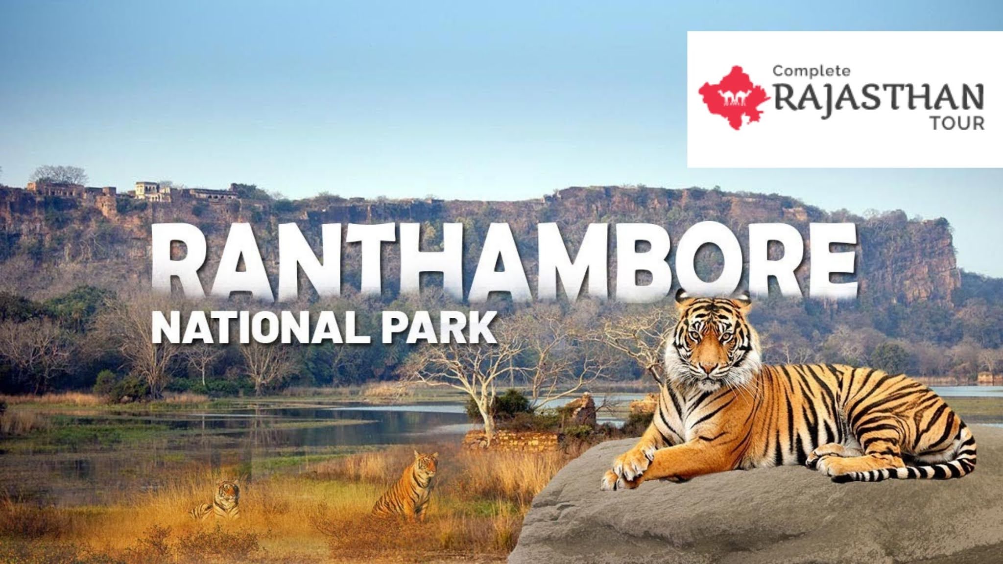 case study on ranthambore national park