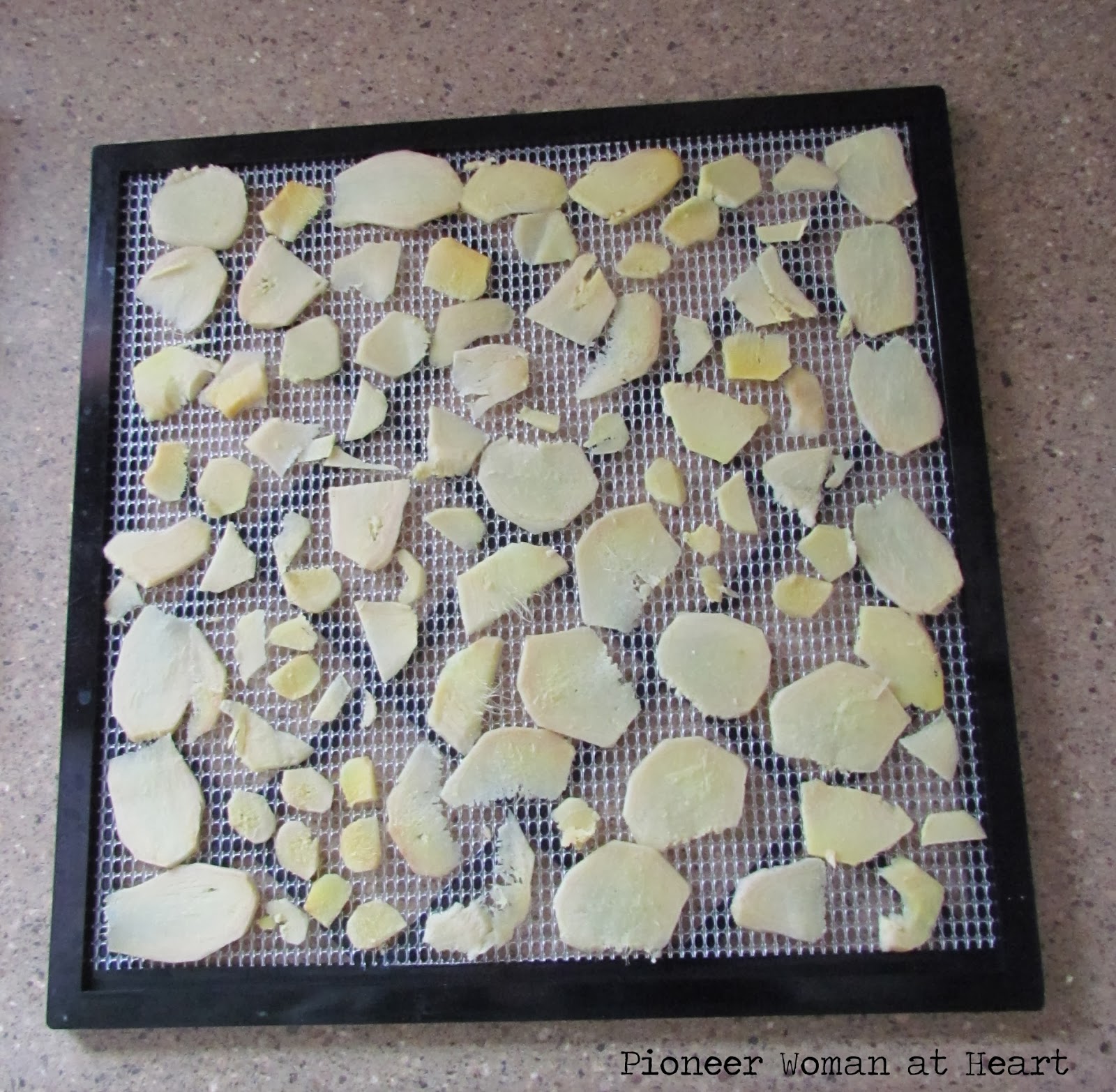 Pioneer Woman at Heart Dehydrating Ginger Making Homemade Ground Ginger