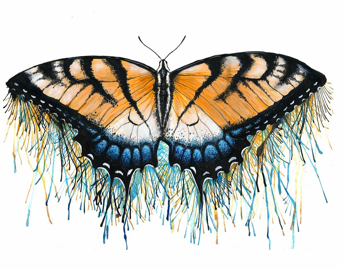 52 Gambar Tato Kupu Kupu Keren Trend Saat Ini