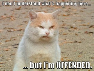 Easily offended