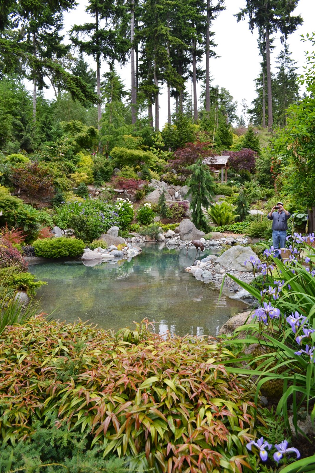 The Outlaw Gardener Vashon Island NPA Garden Tour part Five The