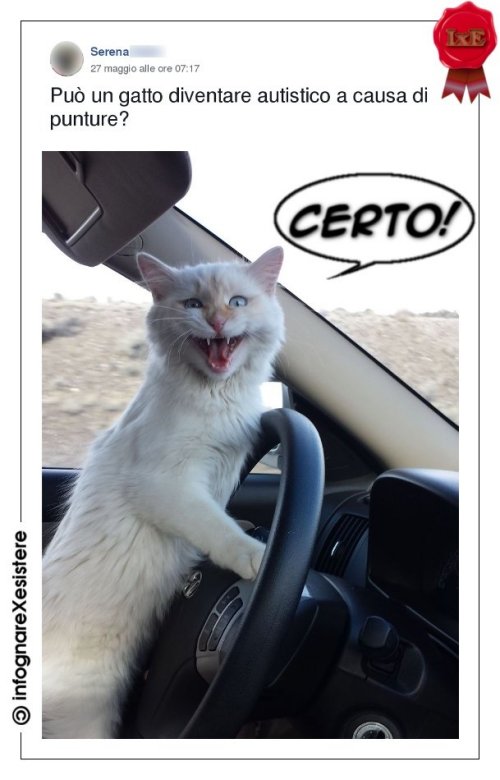 mamme calde cazzo porno