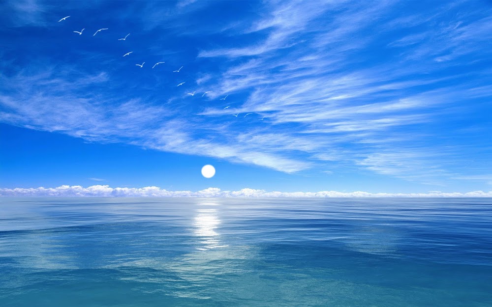 The Ocean