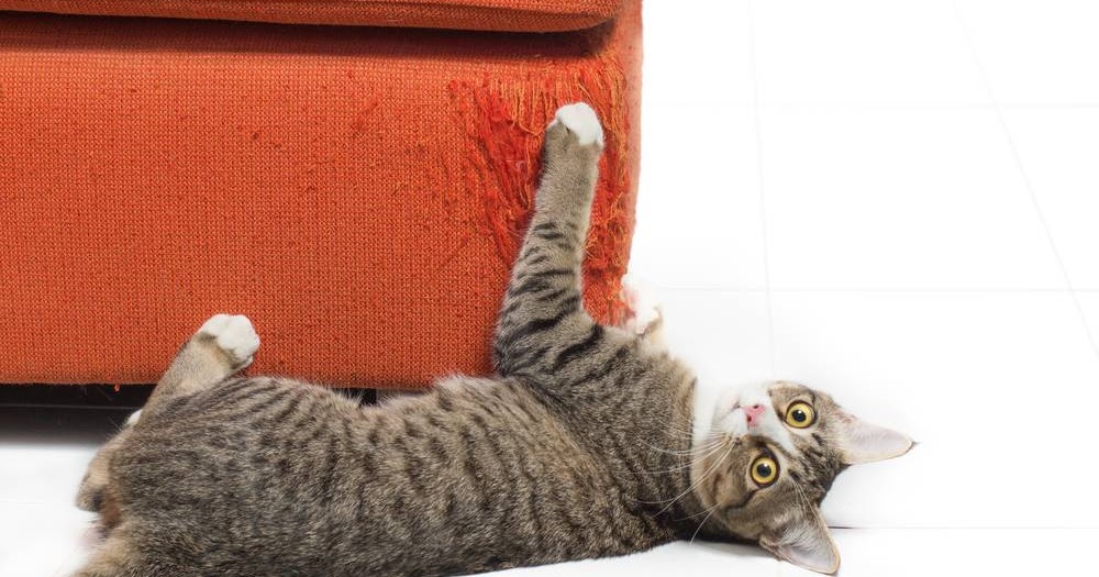 Blog Hurtownia Opakowan Blog O Kartonach I Opakowaniach