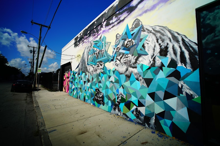 Colorful murals around Wynwood streets, Miami