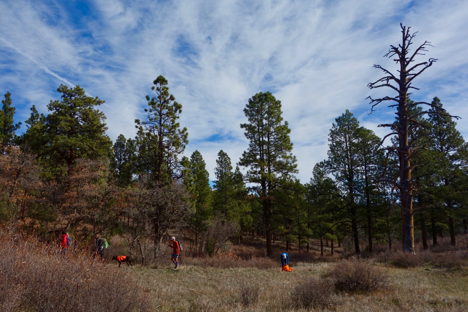 Earthline The American West Dry Gulch Trail, Durango