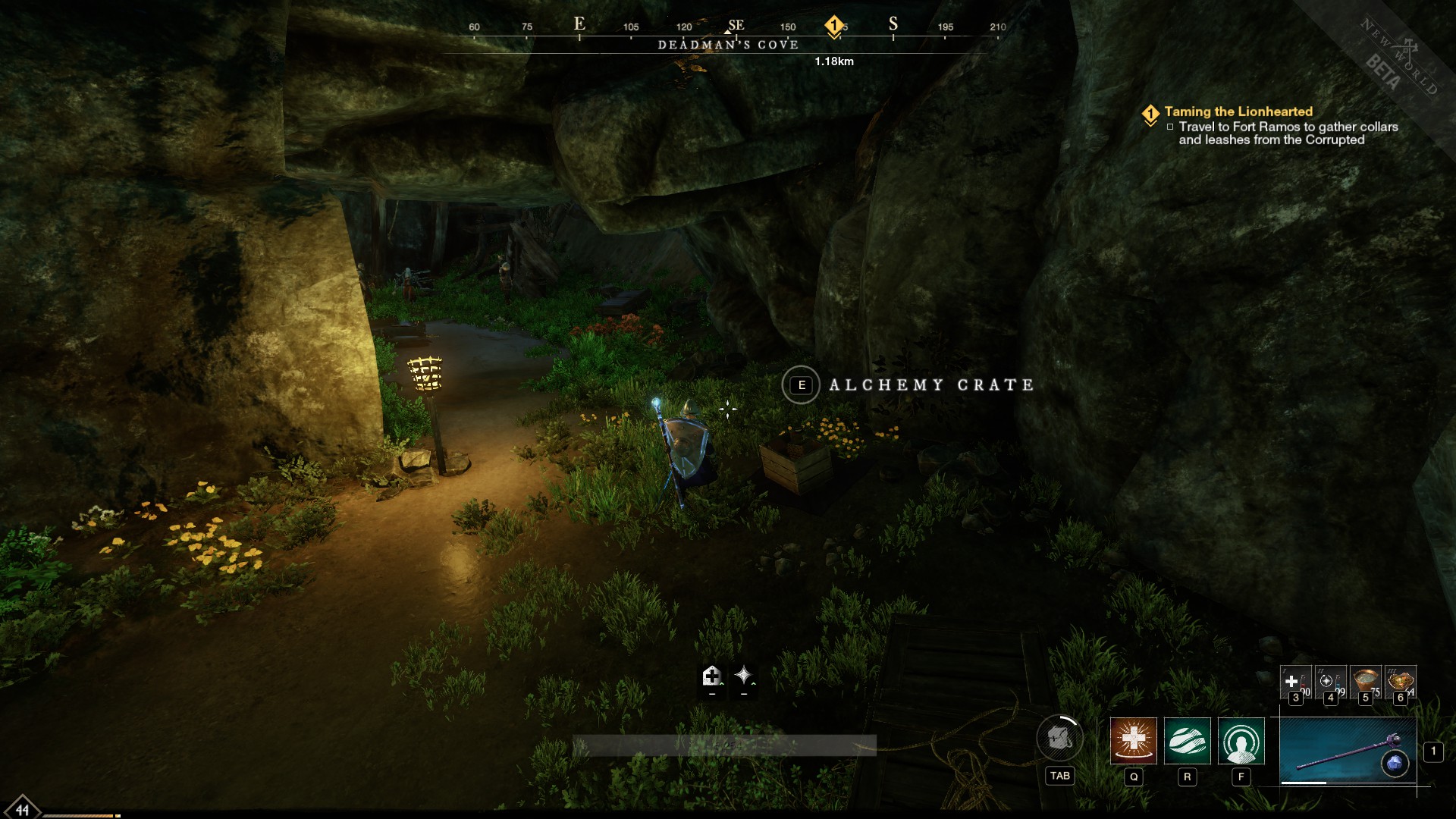 New World Deadman's Cove chest locations