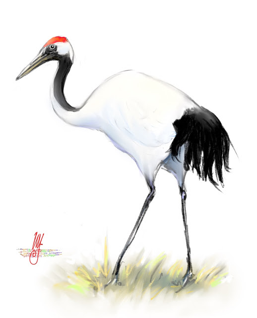 Red-crowned crane