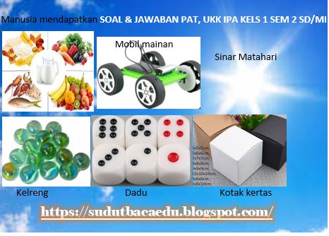 Soal Dan Kunci Jawaban Pat Ukk Ipa Kelas 1 Semester 2 Sd Mi Sekolah Dasar Madrasah Ibtidaiyah Sudut Baca