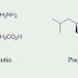 Pregabalin | Indication | contraindications