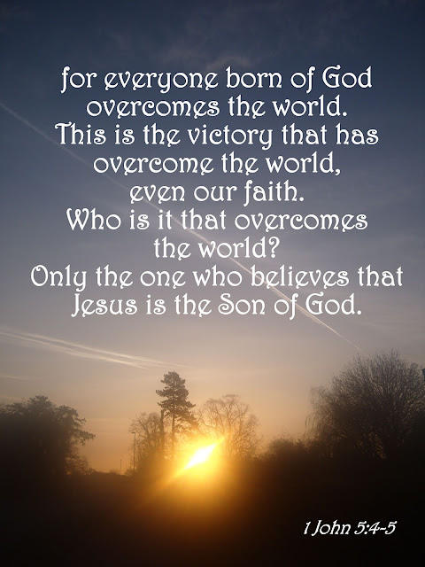  Who is it that overcomes the world? Only the one who believes that Jesus is the Son of God. 