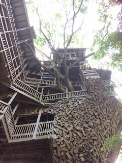 La casa del árbol más grande del mundo