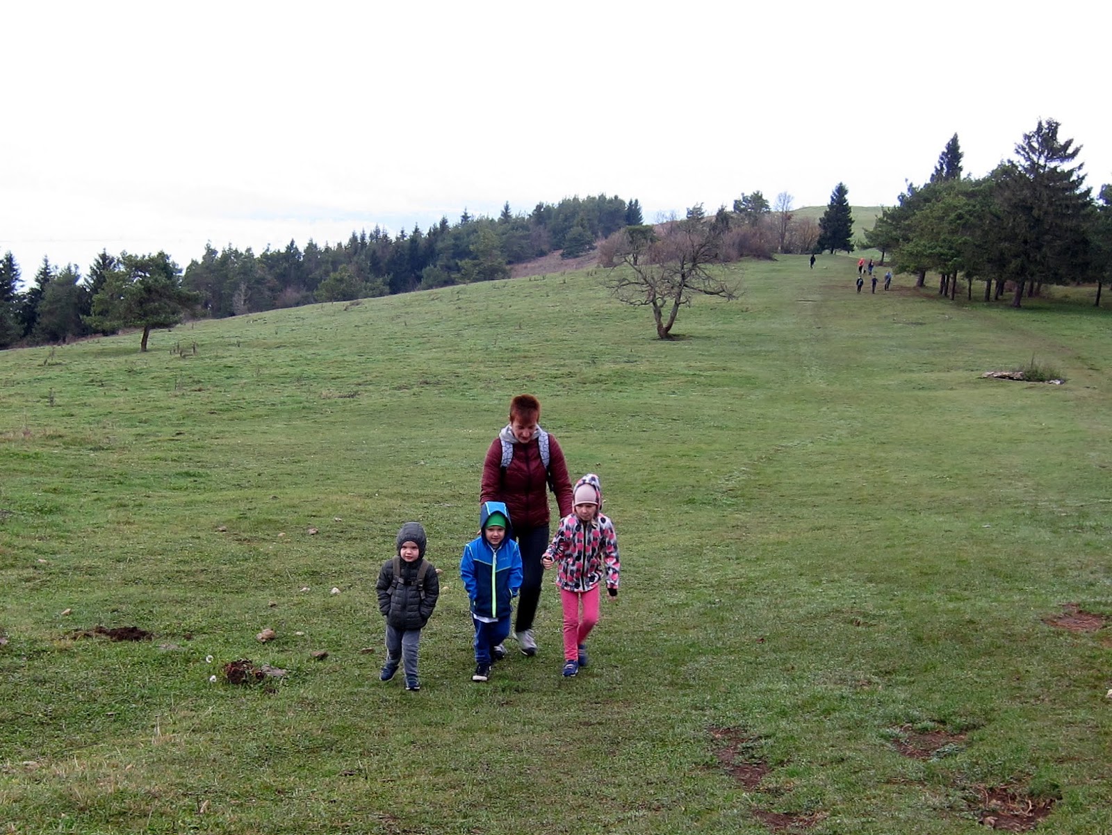 Cencov blog Slivnica