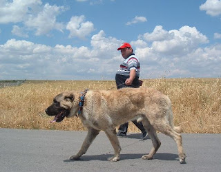 Sansürsüz Aile Sex-Gerçek Anlar