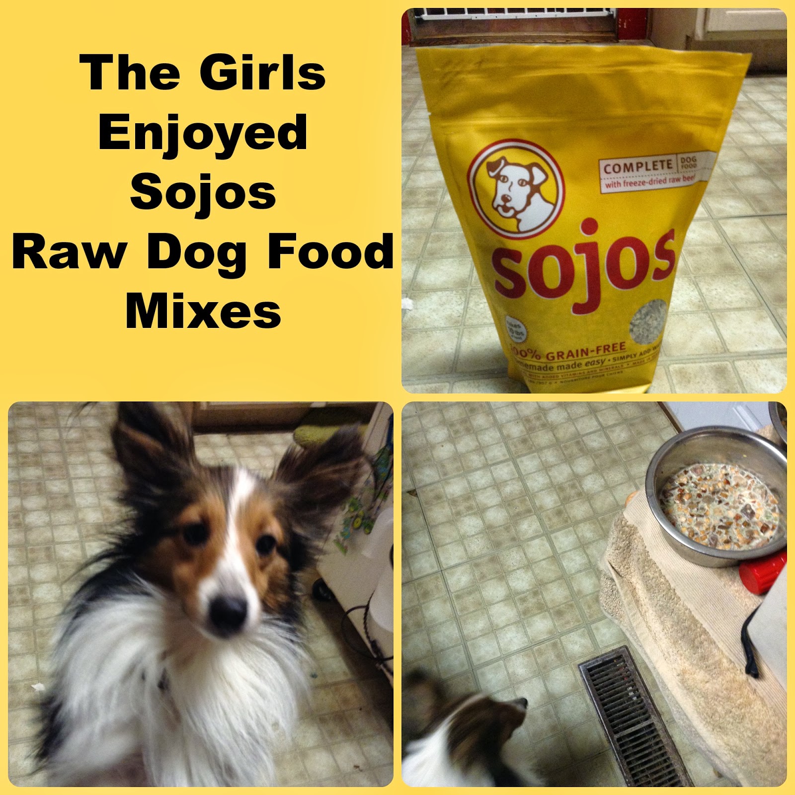 At the Fence Sojos Raw Dog Food Mixes