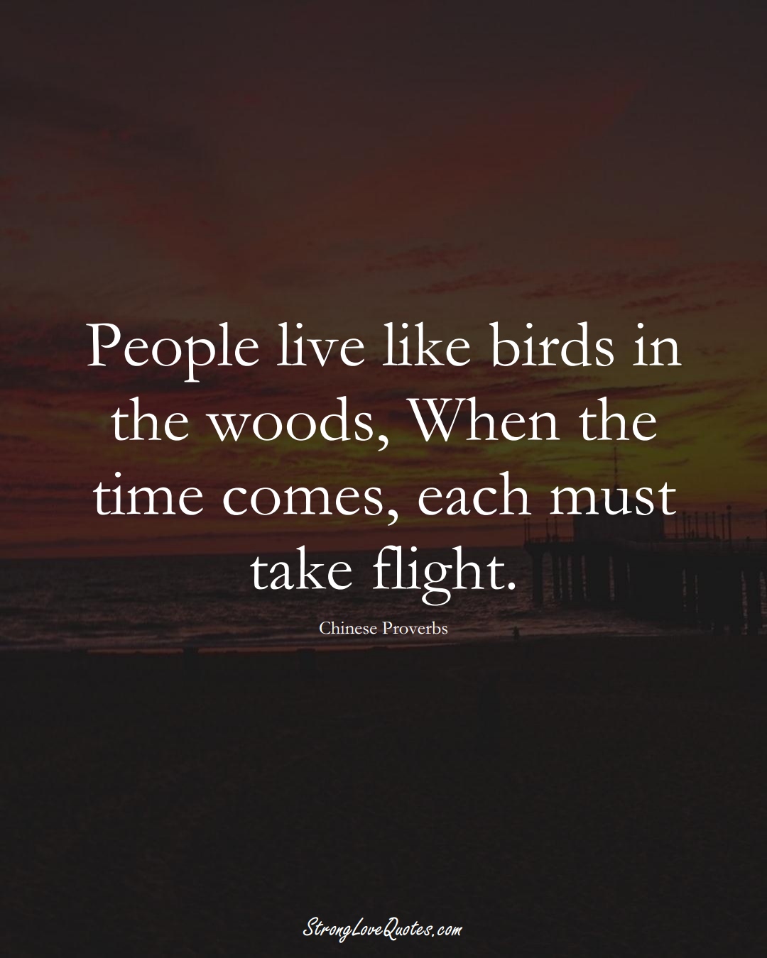 People live like birds in the woods, When the time comes, each must take flight. (Chinese Sayings);  #AsianSayings