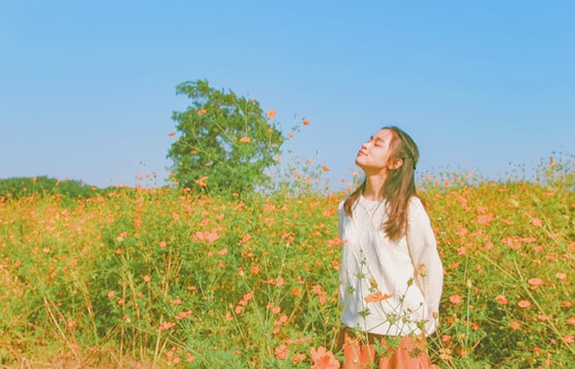 Rumus Filter CapCut Aesthetic dan Cara Menambahkanya