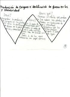 cuaderno electrónico_Biología III_528