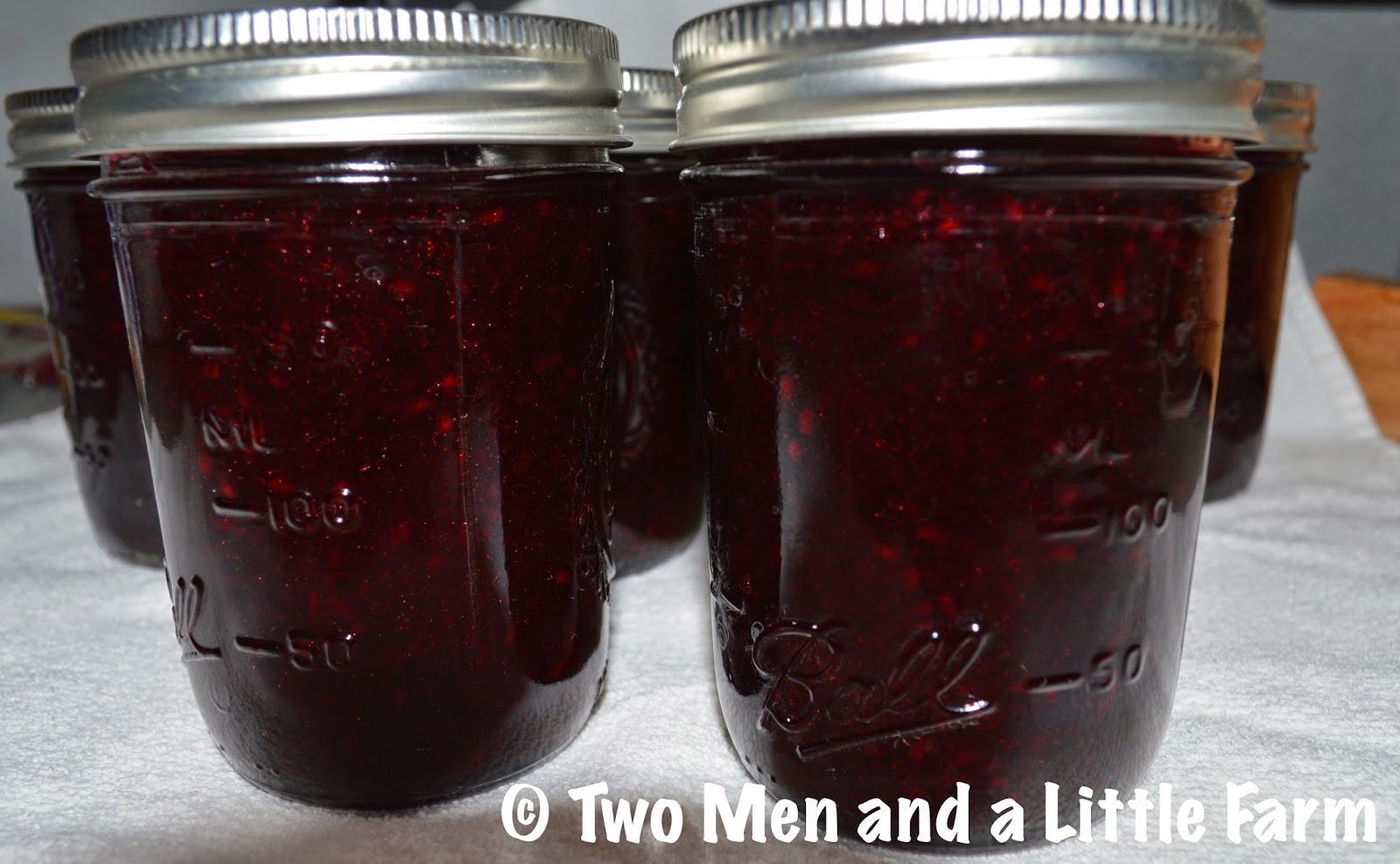Two Men and a Little Farm DEWBERRY JAM MY FIRST ADVENTURE IN CANNING