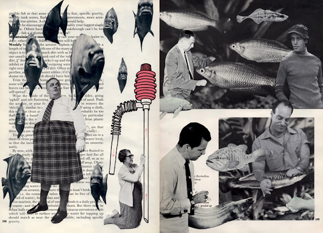 Collage from Go Fish altered book project