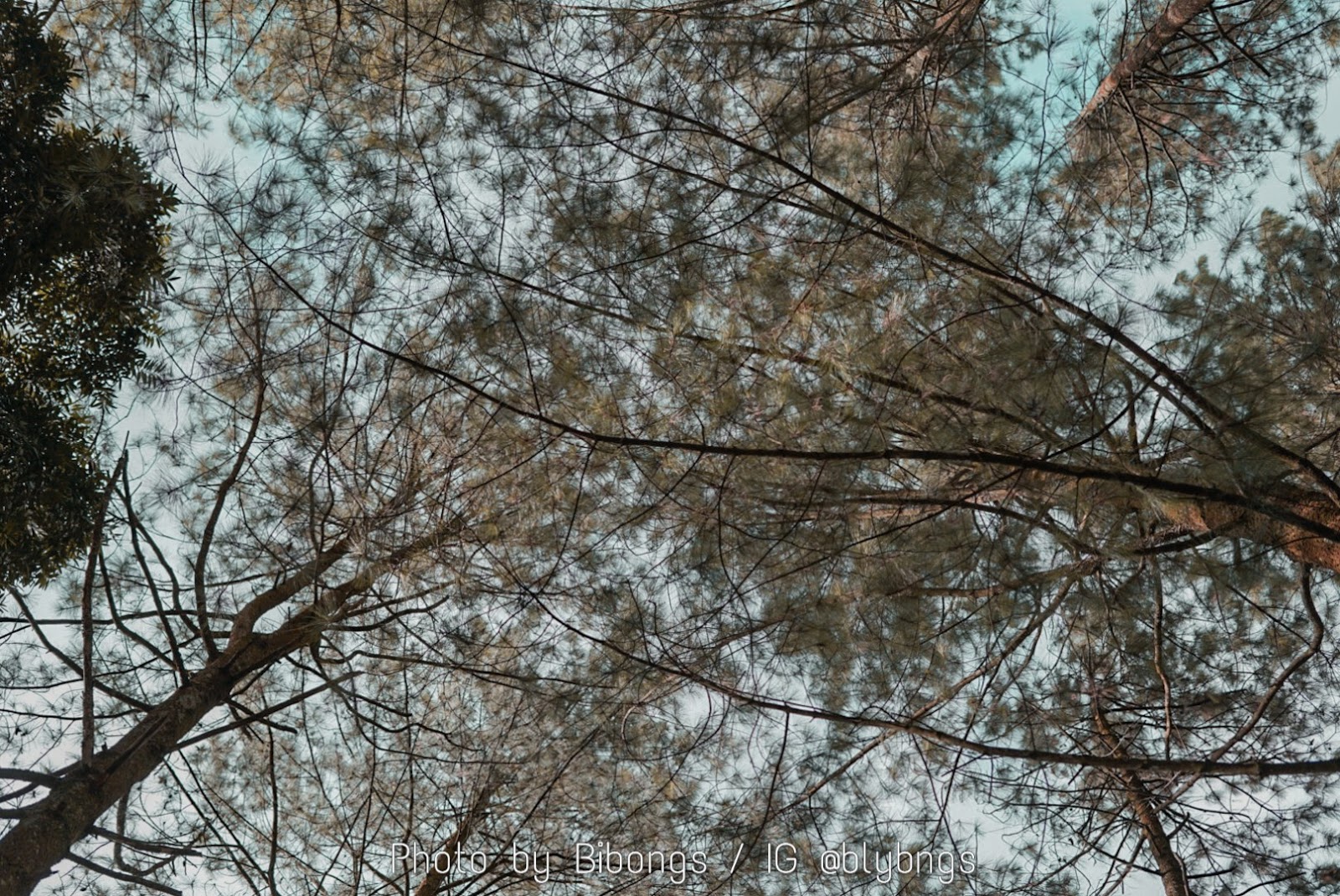 Liburan Ke The Lake House Pesona Alam Sedayu Bogor