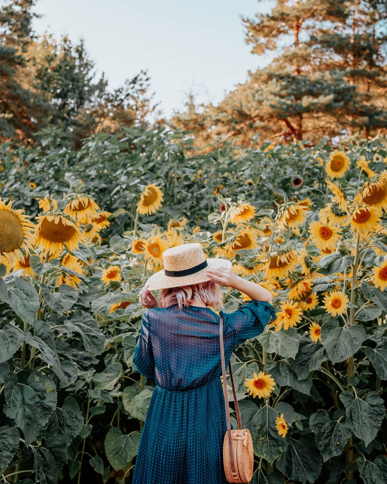 VanDusen Botanical Garden, Vancouver, boater hat, pink hair, sunflower field, rattan purse, wicker purse, style blogger, travel style, travel blogger, things to do in vancouver, summer lookbook, fall lookbook, fall trends, canadian blogger, canadian fashion, nordstrom, zara fall 2018, roju store, urban outfitters,