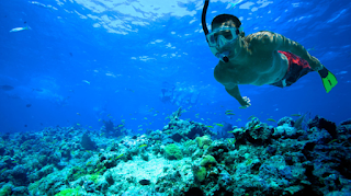 Snorkeling