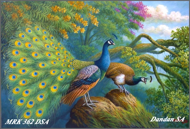 Viral Gambar Lukisan Hewan Burung Merak, Gambar Lukisan