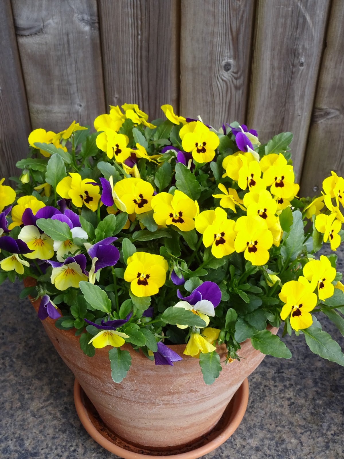 Sommerleses Bucherkiste Gedichte Am Wochenende 5 Fruhlingsnacht