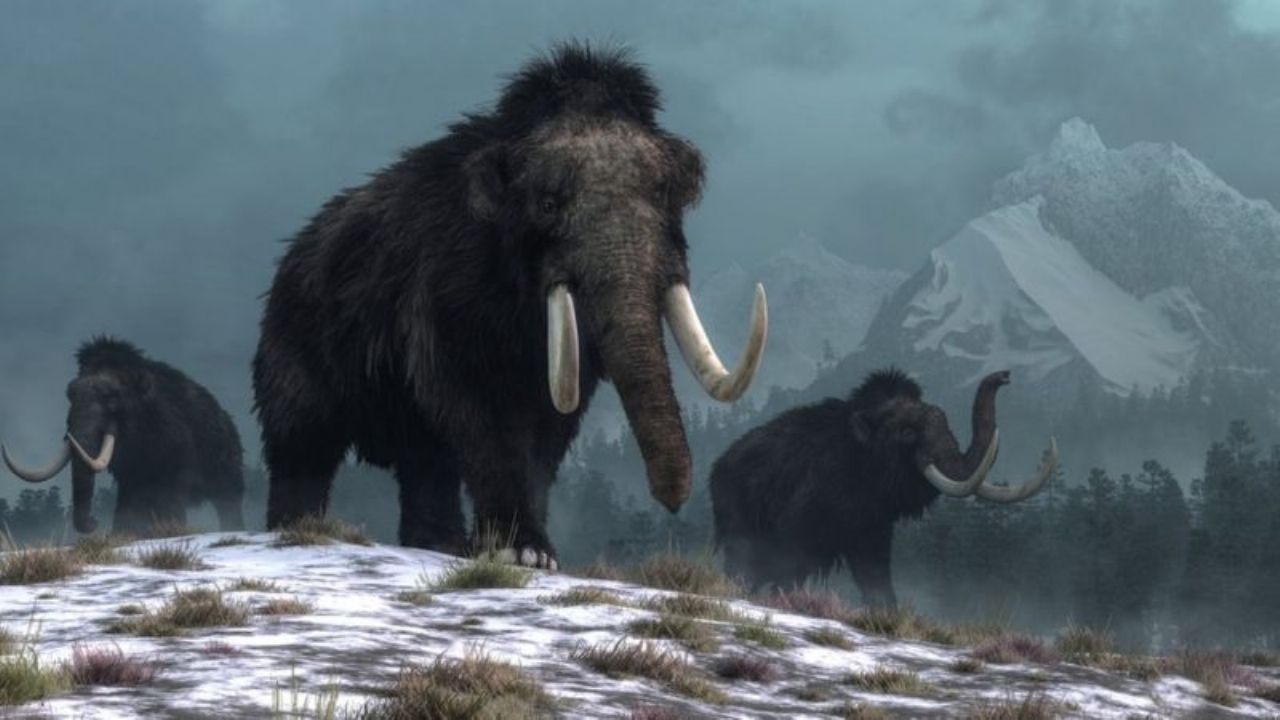 Científicos que quieren 'resucitar' mamuts para salvar el planeta